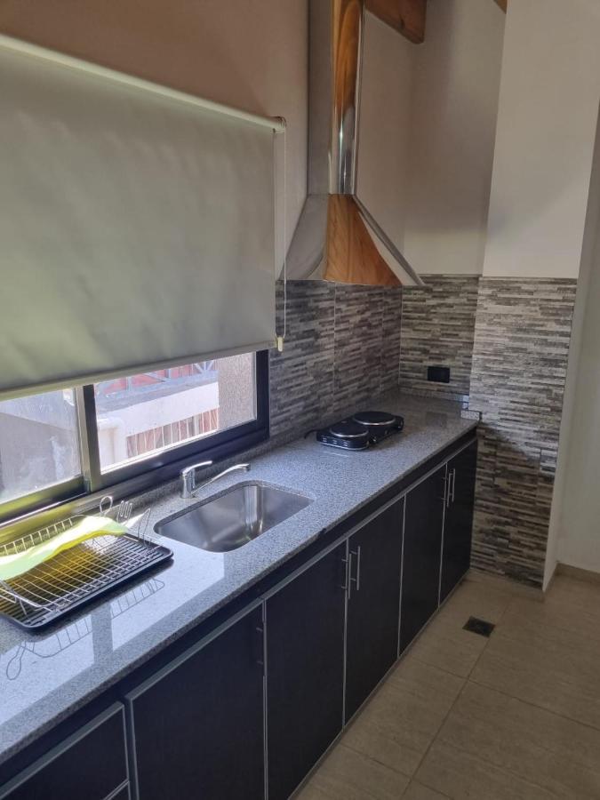 Apartment Pedro De Valdivia 219
